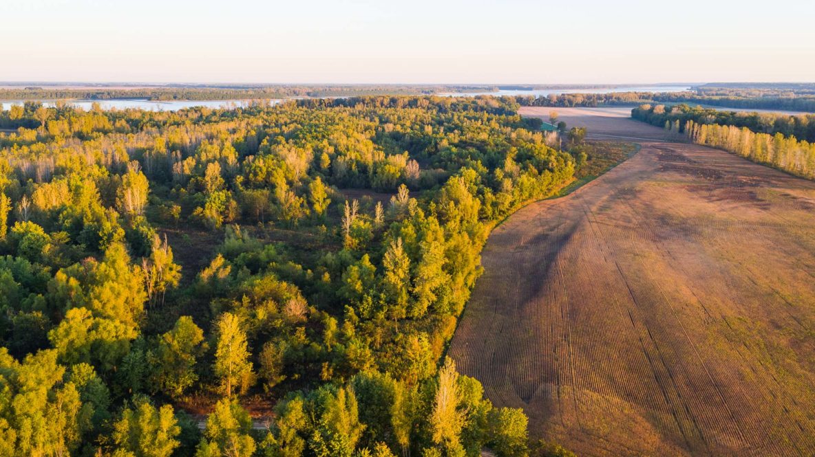 Hatcher Farms Rural land for sale in Kentucky and Missouri by Mark