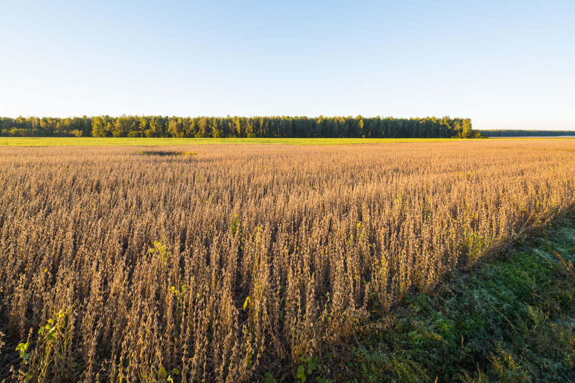 Sold Island 10 Hatcher Farms