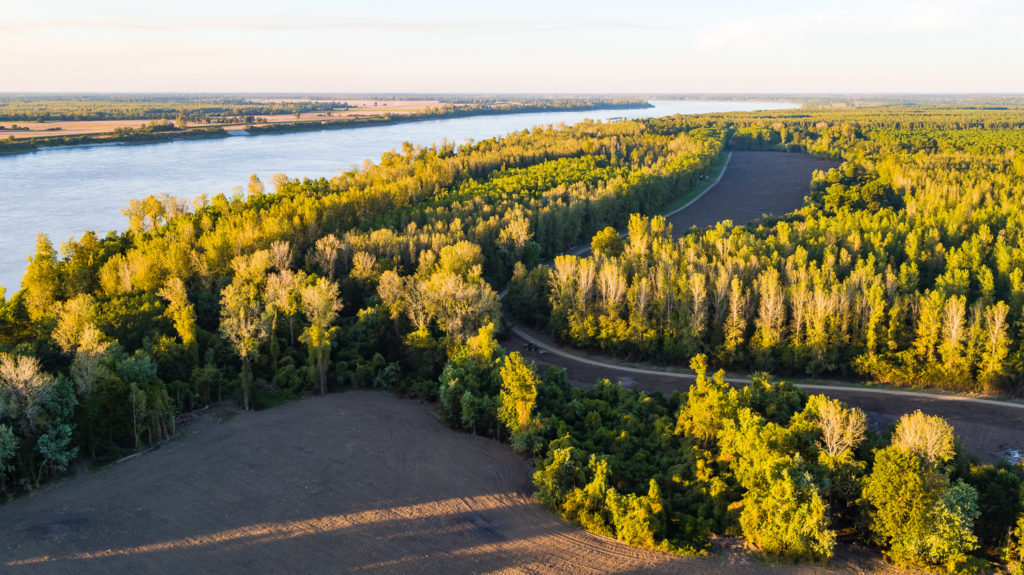 Sold Island 10 Hatcher Farms